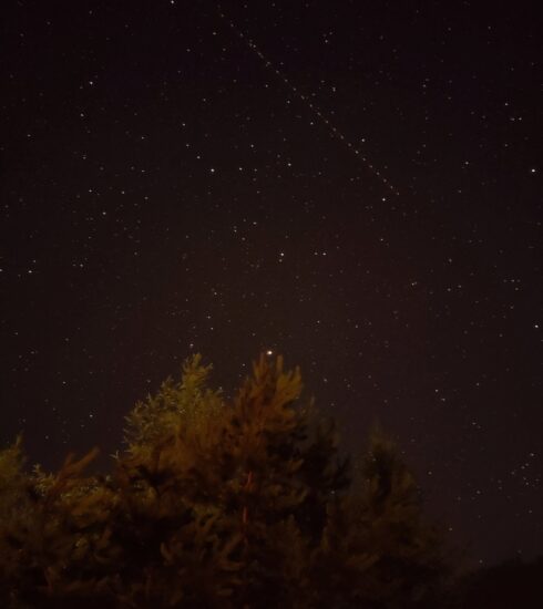 Satellites in the Sky